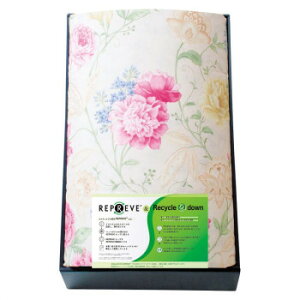 y炵NNZ[zv[u TXeBiuHєzc KAR-15007 PI 5455-072y񂹁Eԕisiz