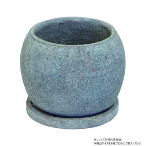 y炵NNZ[zcY ZgXg[|bg M 1691y񂹁Eԕisiz