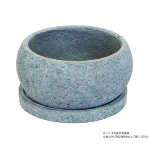 y炵NNZ[zcY ZgXg[|bg tbgS 1693y񂹁Eԕisiz