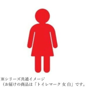 y炵NNZ[zVN} gC}[N   NAC-351y񂹁Eԕisiz