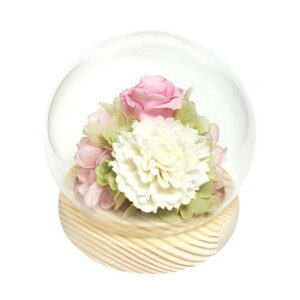 y炵NNZ[zp()@XtBAh[AW@vU[uht[@G()@sN@C36520y񂹁Eԕisiz