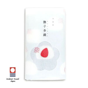 y炵NNZ[zqD@啟@05658y񂹁Eԕisiz
