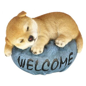 y炵NNZ[zhbOI[ig Vo NbVBL 14249y񂹁Eԕisiz