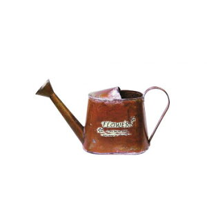 y炵NNZ[zWE 82021y񂹁Eԕisiz