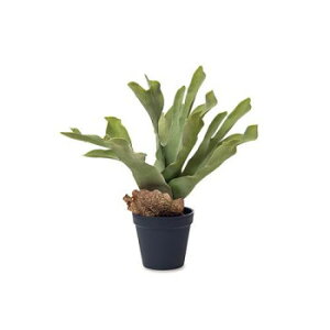 y炵NNZ[ztFCNO[ rJNV_ 81120y񂹁Eԕisiz