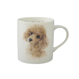 y炵NNZ[zR }OJbv C gCv[h wa-m-G1y񂹁Eԕisiz