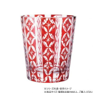 y炵NNZ[z^OX@؎q(₫)ԁ@G4208y񂹁Eԕisiz