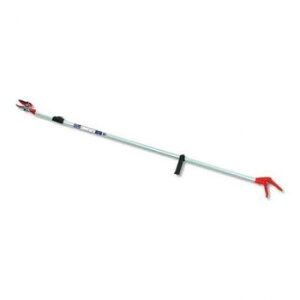 y炵NNZ[z6iLk}̂уAr@1860Ay񂹁Eԕisiz