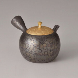 y炵NNZ[zی^VډW}{ 260cc Y-19y񂹁Eԕisiz