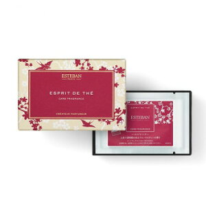 y炵NNZ[z{ ESTEBAN(GXeo) J[htOX GXv h e 52151y񂹁Eԕisiz