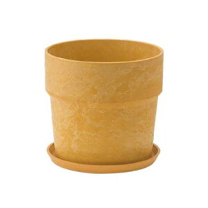 y炵NNZ[zA[ovc|bg \bh  81007y񂹁Eԕisiz