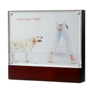 y炵NNZ[zANt[@Gj[@2L@BR@100395y񂹁Eԕisiz