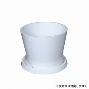 y炵NNZ[zv^[ 86620y񂹁Eԕisiz