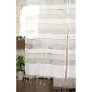 y炵NNZ[ẑ DVN A 37021870231y񂹁Eԕisiz