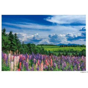 y炵NNZ[zWO\[pY 1000s[X i Ă̕ʂxǖ(kC) 10-1466y񂹁Eԕisiz