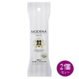 【暮らしラクラク応援セール】PADICO パジコ　樹脂粘土　Modena White(モデナホワイト)　60g　2個セット　303117【取り寄せ・返品不可商品】