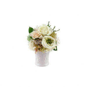 y炵NNZ[zt[AW  () F-6060y񂹁Eԕisiz