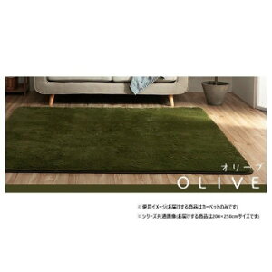 �y��炵���N���N�����Z�[���z�ӂ�ӂ탉�O �J�[�y�b�g �I���[�u ��200×250cm 1280600211303�y���񂹁E�ԕi�s���i�z