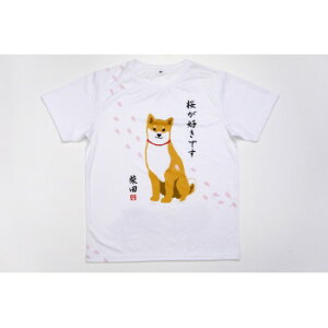 y炵NNZ[ztYq TVc L TN_Vo^ zCg IS-210-149y񂹁Eԕisiz