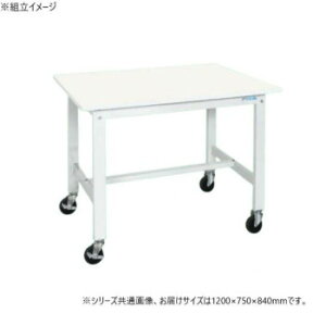 y炵NNZ[zTJG yʍƑKK^Cv RہERECXH LX^[t 1200×750×840mm KK-49VPWYSEy񂹁Eԕisiz