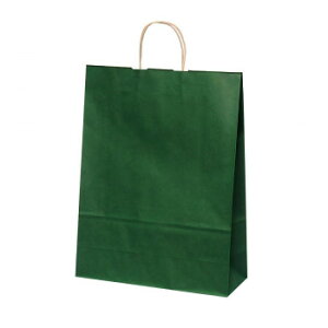 y炵NNZ[z܁@HV100@Gh 50 XZK00955y񂹁Eԕisiz