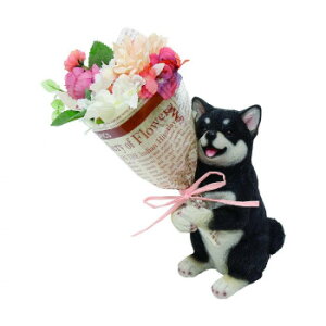 y炵NNZ[zCT~ju[P  NVo 420867305y񂹁Eԕisiz