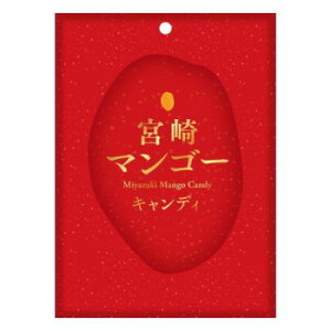 y炵NNZ[z {}S[LfB[ 57g×30yyŗΏۏizy񂹁Eԕisiz