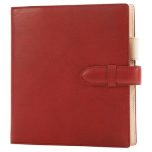 y炵NNZ[zASHFORD AVtH[h VXe蒠 LI HB×WA5 15mm belt bh 6128-044y񂹁Eԕisiz