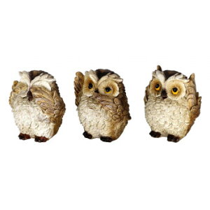 y炵NNZ[zIE gI u KLXC-0005y񂹁Eԕisiz