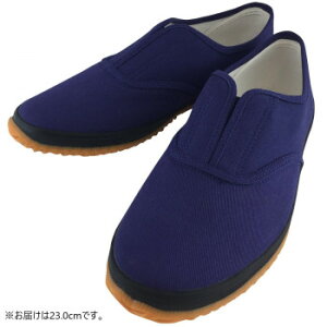 y炵NNZ[z쏤 G[X ƌC т lCr[ 23.0cm WS5001Ny񂹁Eԕisiz