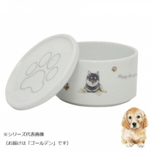 y炵NNZ[zR X^bJ[SET() S[f wa-se100-S17y񂹁Eԕisiz