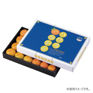 y炵NNZ[z}jpbP[W nEX݂ 50  L-468y񂹁Eԕisiz