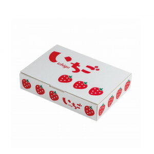 y炵NNZ[z}jpbP[W CXgl250g 2P 100 L-2504y񂹁Eԕisiz