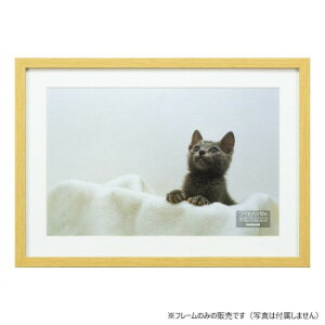 y炵NNZ[ziJoV@ؐʐ^z/WZc/i`@F-SW-113-Ny񂹁Eԕisiz