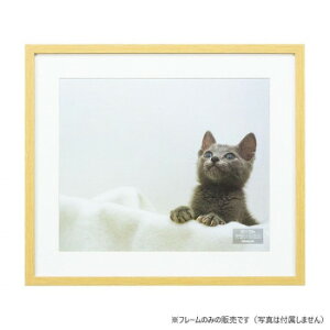 y炵NNZ[ziJoV@ؐʐ^z/lc/i`@F-SW-115-Ny񂹁Eԕisiz