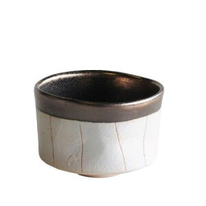 y炵NNZ[zM1120 Ղq ʏ\  aHy񂹁Eԕisiz