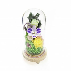 y炵NNZ[zp()@KXh[AWg@vU[uht[@S(݂)@C35660y񂹁Eԕisiz