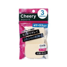 【暮らしラクラク応援セール】チェリー ボーテ 長角形 3P×12個セット CB-3212【取り寄せ・返品不可商品】