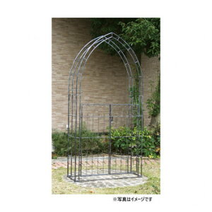 y炵NNZ[z哯Ntg K[fCeA 20Q[gtA[` MGA20-01y񂹁Eԕisiz