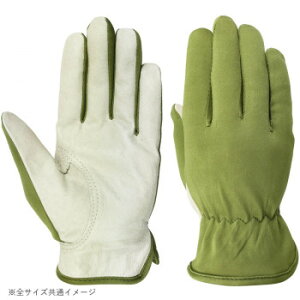 y炵NNZ[z쏤 G[X iǗpv G[XCi[ 10og LLTCY AG620y񂹁Eԕisiz