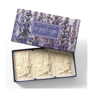 y炵NNZ[zFIORENTINO tBIeB[m x_[\[v 3y񂹁Eԕisiz