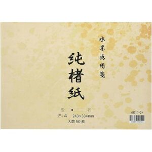 y炵NNZ[znp@@F-4@50 BC17-2y񂹁Eԕisiz