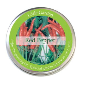 y炵NNZ[z͔|Lbg newgK[f Ƃ炵̒ LG-54y񂹁Eԕisiz