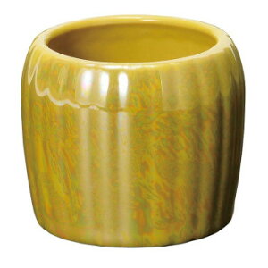 y炵NNZ[zP(ق)  CCG[ 32E700R200072y񂹁Eԕisiz