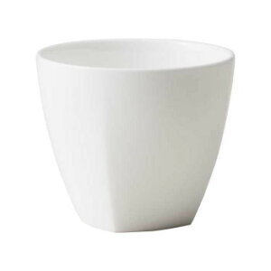 y炵NNZ[zNIKKO(jbR[) ۊp^(210cc) 3155-3552y񂹁Eԕisiz