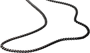 �y���z�iPhiten�j�t�@�C�e�� �Y���`�^���`�F�[���l�b�N���X 65cm TC666056
