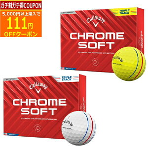 10/1܂ōő10OFFN[|s(cƓ)LEFCSt N\tg (CHROME SOFT )gvEgbN St{[ 1_[X (12) 2024Nf