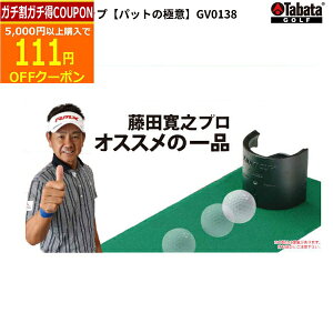 12/15܂ōő10OFFN[|(cƓ)^o^ }`Jbvypbg̋ɈӁz GV-0138 cVvyStK@z