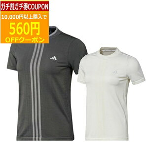 (cƓ)NAX又Z[ AfB_X St ULT365 PRIMEKNITTChV[XbN IKJ61 fB[X EFA 2024Ntāioutretj