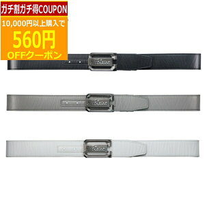 X[p[SALEő10OFFK`N[|(cƓ)@^CgXg cA[obNxg TAABT231 Y 2025Npf